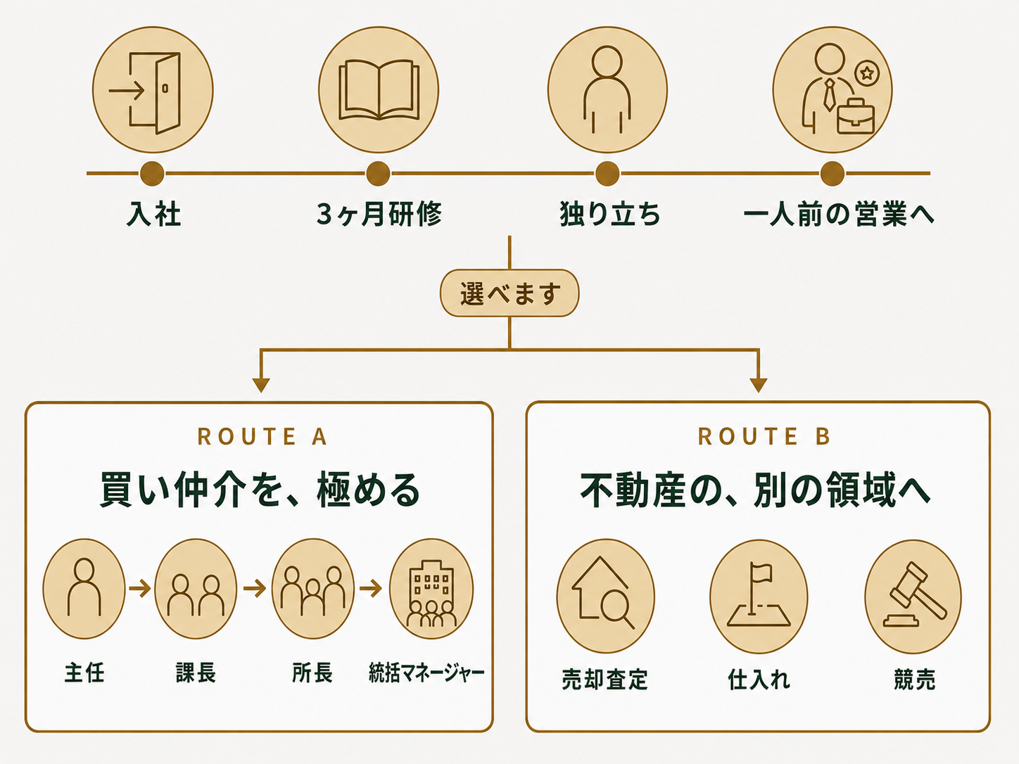 mkホームのキャリアパス図。入社から3ヶ月研修、独り立ち、一人前の営業までの共通ステップと、その先に選べる2つのルート（買い仲介を極める／不動産の別の領域へ）